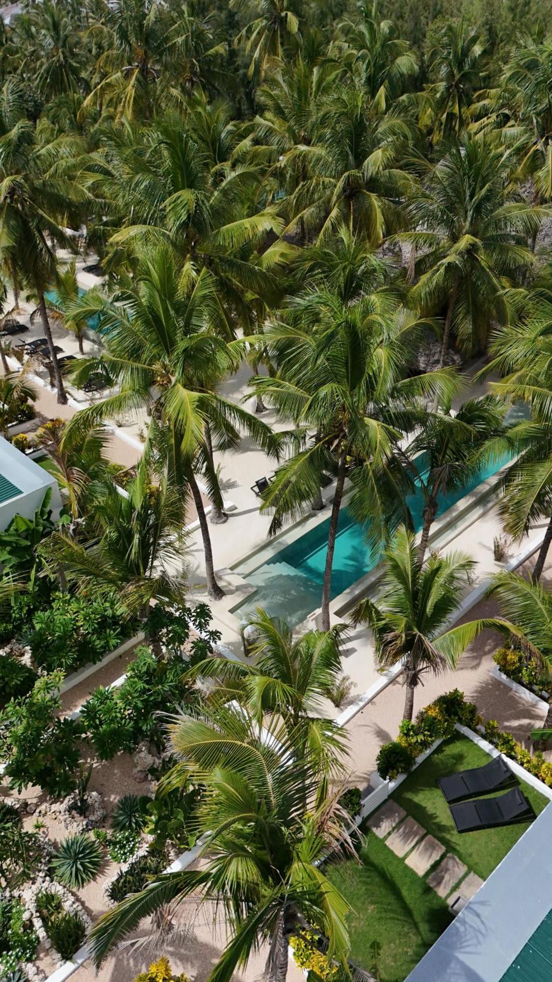 The Oasis Residence Jambiani  Eksteriør billede
